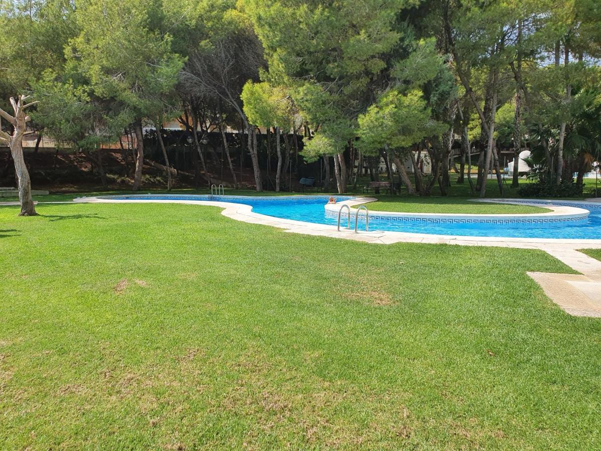 Apartment In Campoamor Overlooking The Swimming Pool מראה חיצוני תמונה